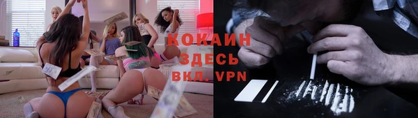 дмт Белокуриха