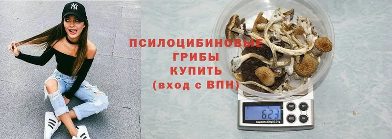 Псилоцибиновые грибы Psilocybine cubensis  купить закладку  Любим 